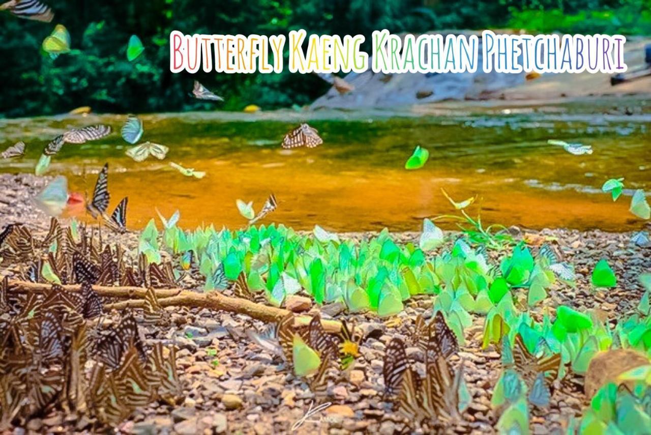 Baan Rai Pray Rung Kaeng Krachan Ban Tha Ling Lom Exteriér fotografie