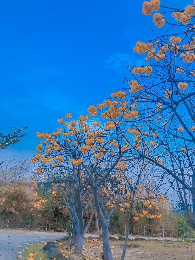 Baan Rai Pray Rung Kaeng Krachan Ban Tha Ling Lom Exteriér fotografie